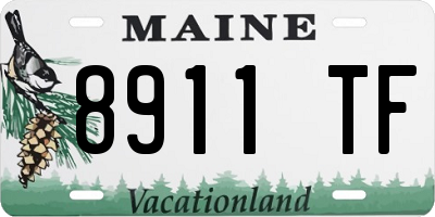 ME license plate 8911TF