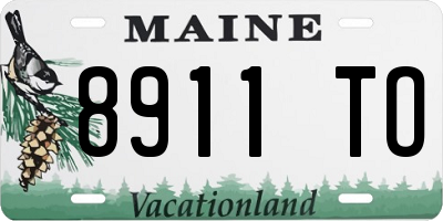 ME license plate 8911TO