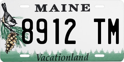 ME license plate 8912TM
