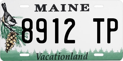 ME license plate 8912TP