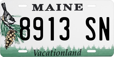 ME license plate 8913SN