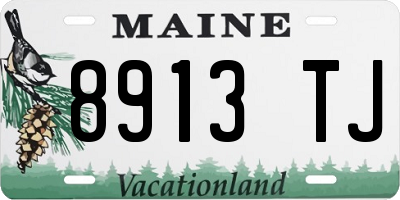 ME license plate 8913TJ