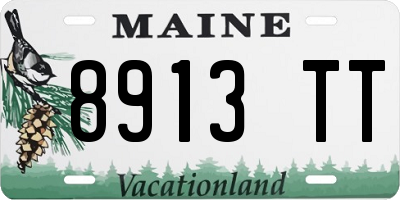 ME license plate 8913TT
