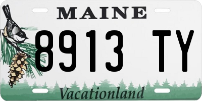 ME license plate 8913TY
