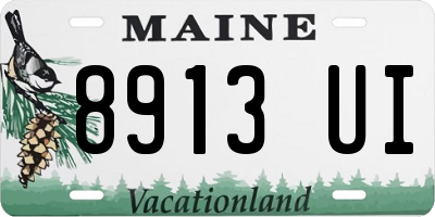 ME license plate 8913UI