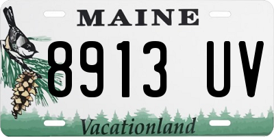 ME license plate 8913UV