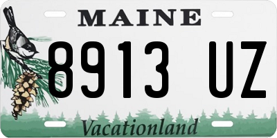 ME license plate 8913UZ