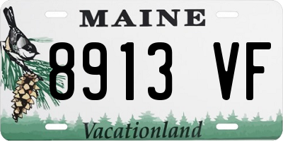 ME license plate 8913VF