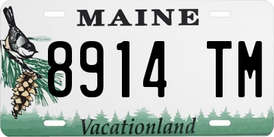 ME license plate 8914TM