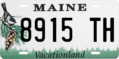 ME license plate 8915TH