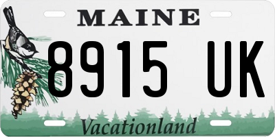 ME license plate 8915UK