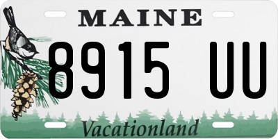 ME license plate 8915UU