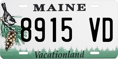 ME license plate 8915VD