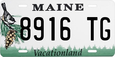 ME license plate 8916TG