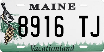 ME license plate 8916TJ