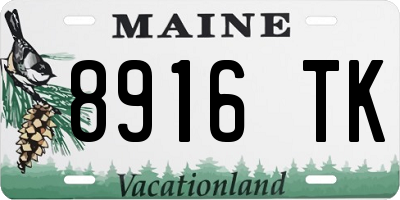 ME license plate 8916TK