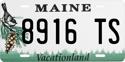 ME license plate 8916TS