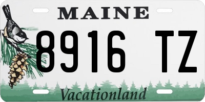 ME license plate 8916TZ