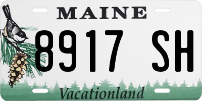 ME license plate 8917SH