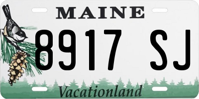 ME license plate 8917SJ