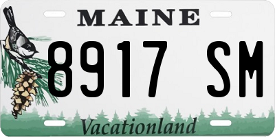 ME license plate 8917SM