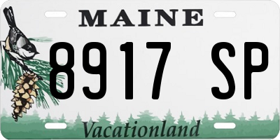 ME license plate 8917SP