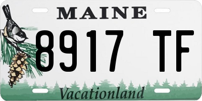 ME license plate 8917TF