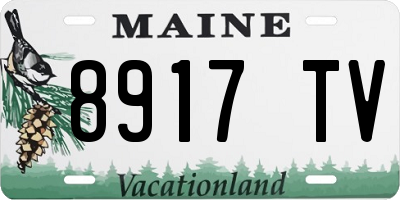 ME license plate 8917TV