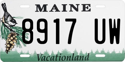 ME license plate 8917UW