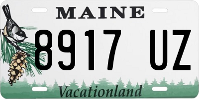 ME license plate 8917UZ