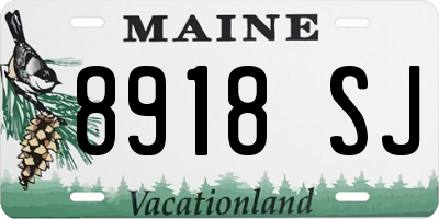 ME license plate 8918SJ