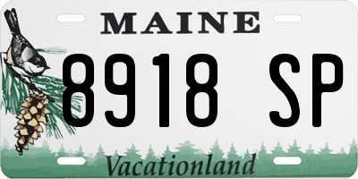 ME license plate 8918SP