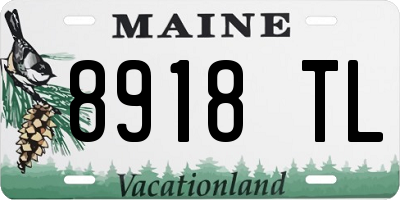 ME license plate 8918TL