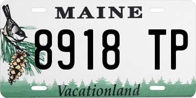 ME license plate 8918TP