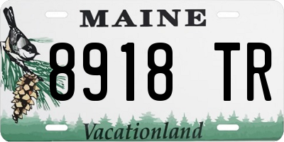 ME license plate 8918TR