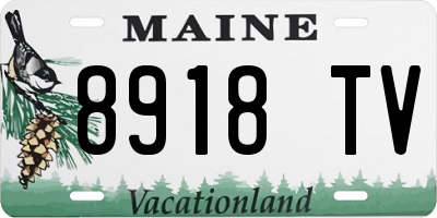 ME license plate 8918TV