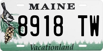 ME license plate 8918TW
