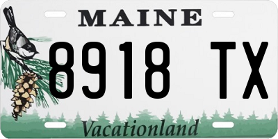 ME license plate 8918TX