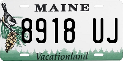 ME license plate 8918UJ