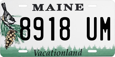 ME license plate 8918UM