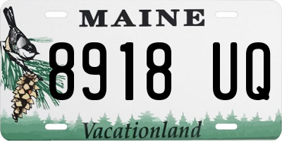 ME license plate 8918UQ