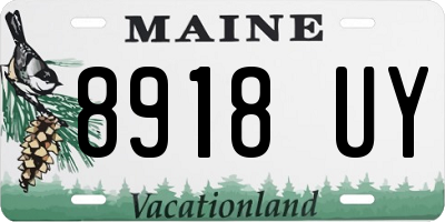 ME license plate 8918UY