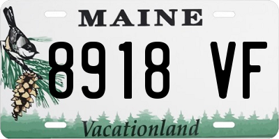 ME license plate 8918VF