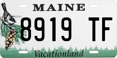 ME license plate 8919TF