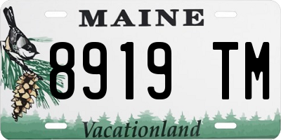 ME license plate 8919TM