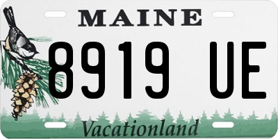 ME license plate 8919UE