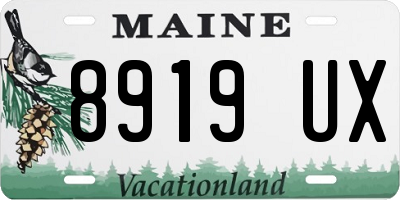 ME license plate 8919UX