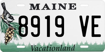 ME license plate 8919VE