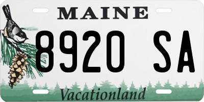 ME license plate 8920SA