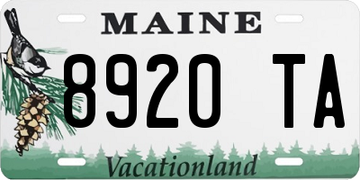 ME license plate 8920TA